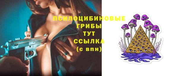 МДПВ Алексин