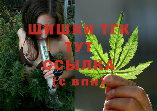 МДПВ Алексин