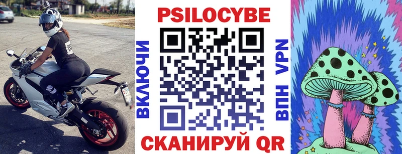 Псилоцибиновые грибы Cubensis  Старый Оскол 